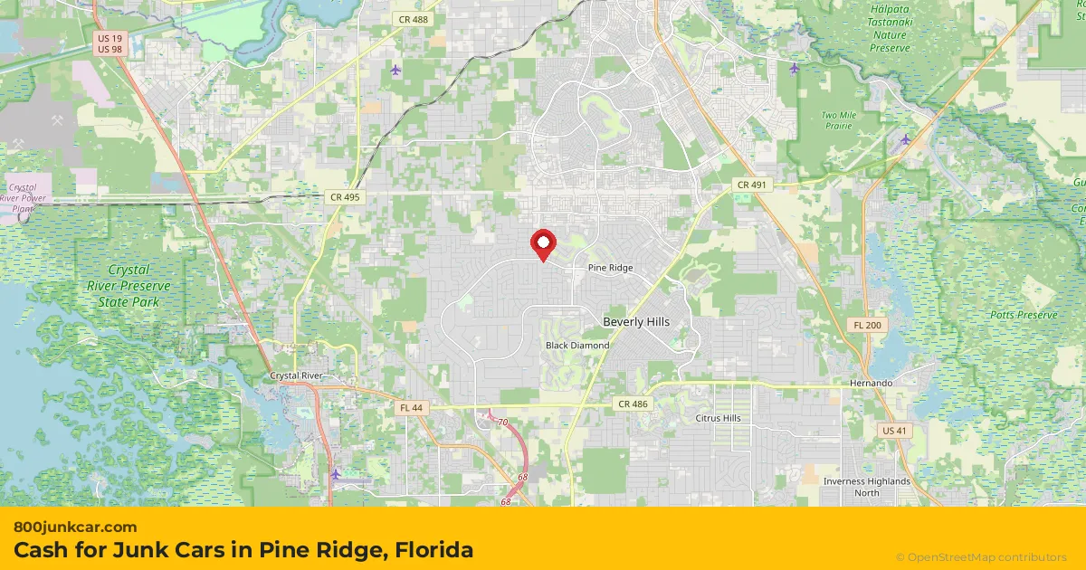 Pine Ridge, FL service area map