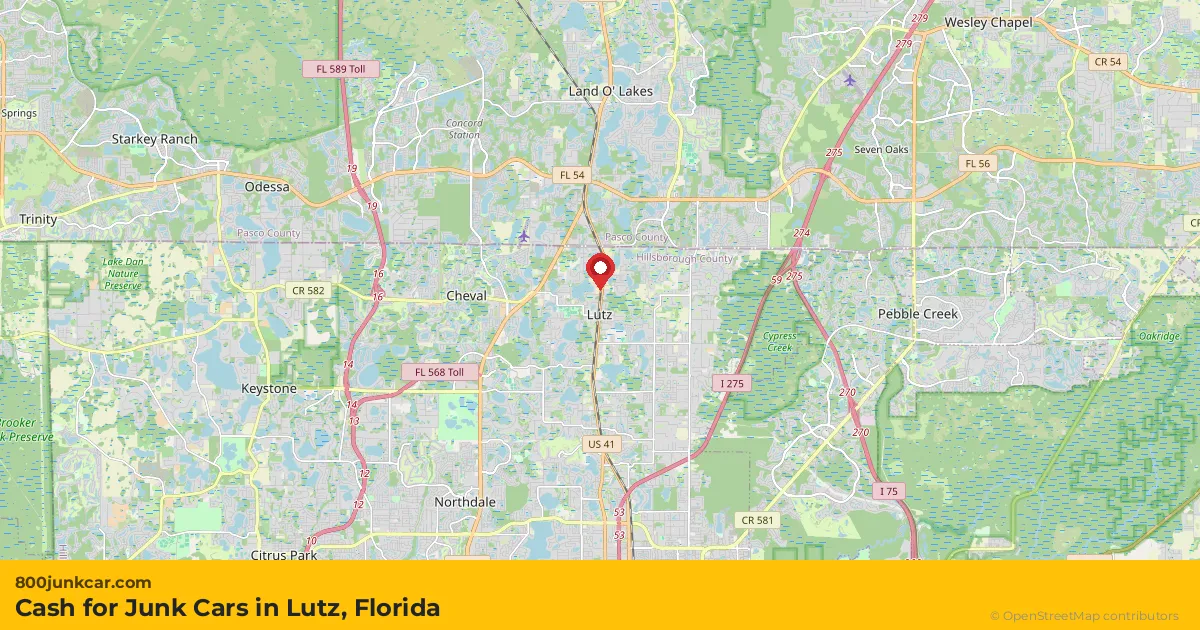 Lutz, FL service area map