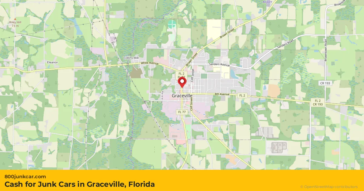 Graceville, FL service area map
