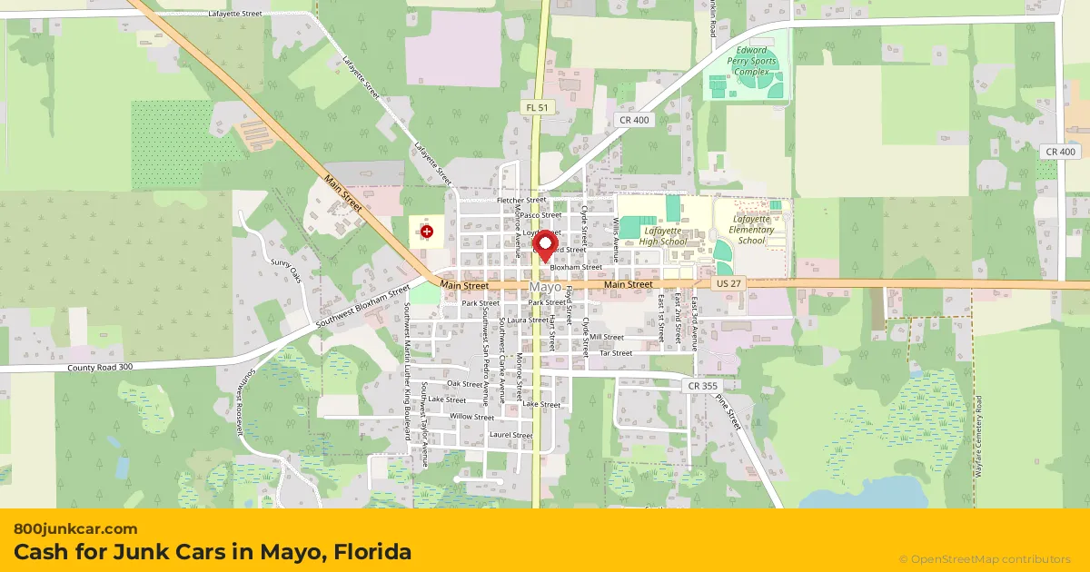 Mayo, FL service area map