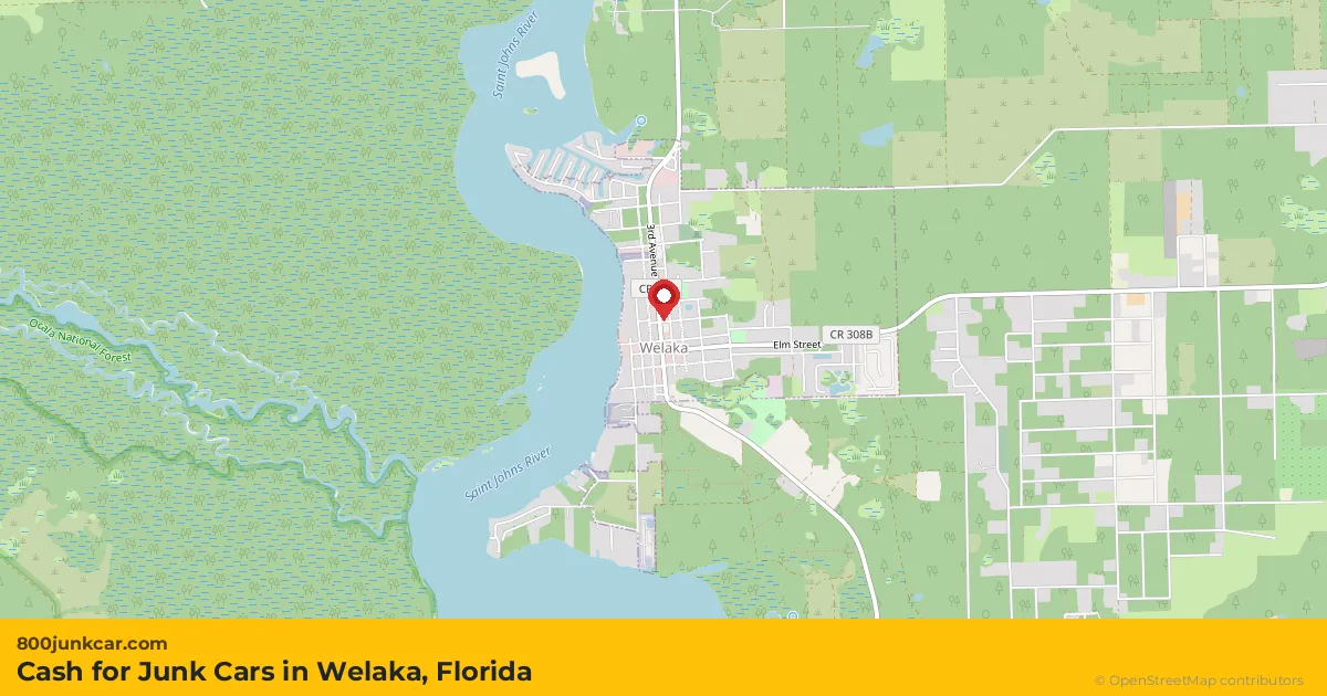 Welaka, FL service area map