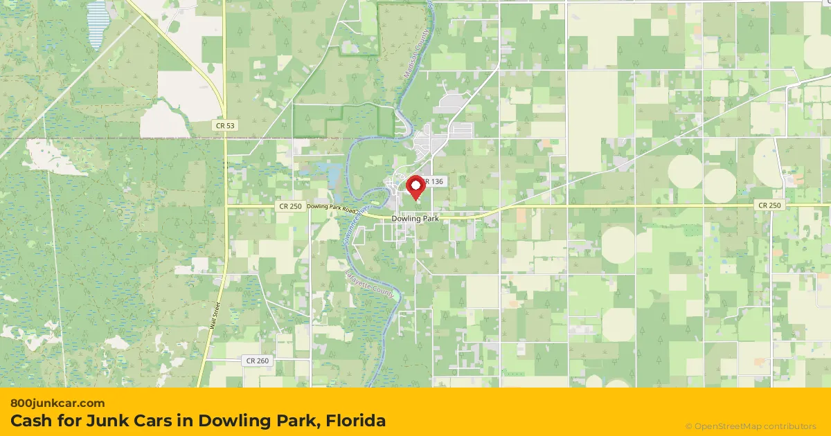 Dowling Park, FL service area map