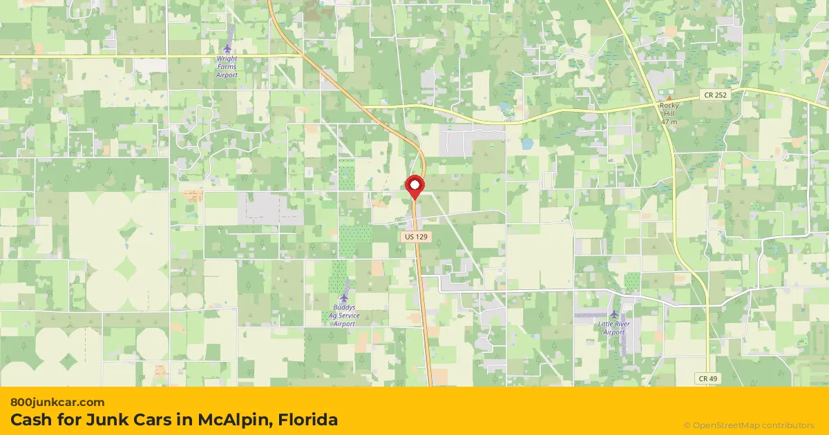 McAlpin, FL service area map