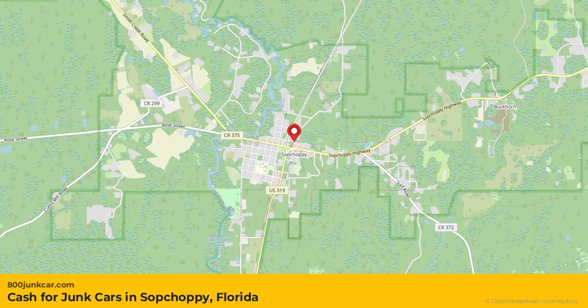 Sopchoppy, FL service area map