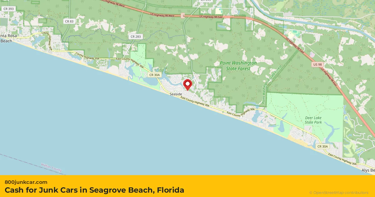 Seagrove Beach, FL service area map