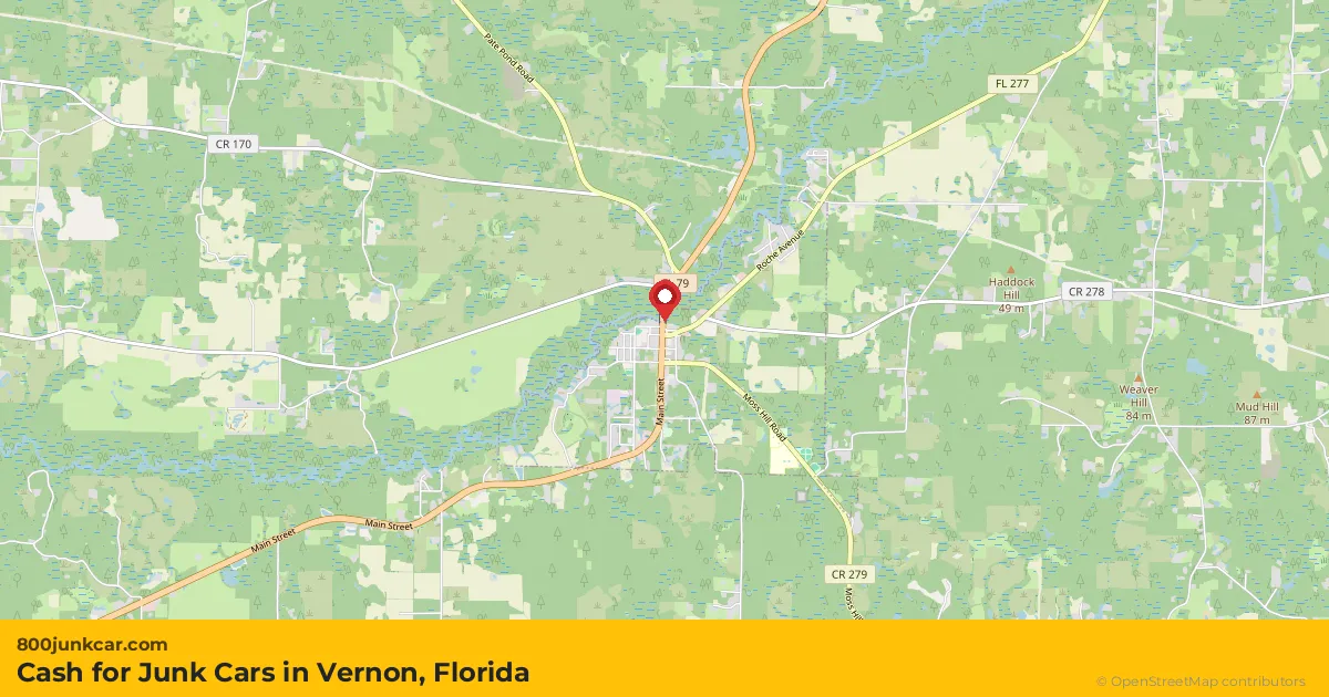 Vernon, FL service area map